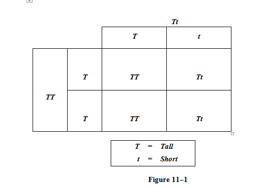 Exam 7: Inheritance Patterns - Quiz
